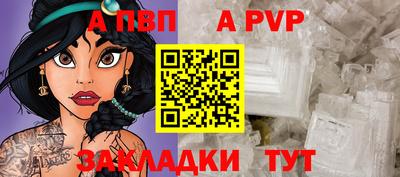 СК Новодвинск