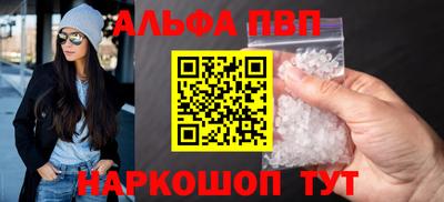 СК Новодвинск