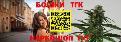 СК Новодвинск