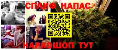 СК Новодвинск
