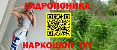 СК Новодвинск