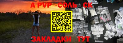 СК Новодвинск