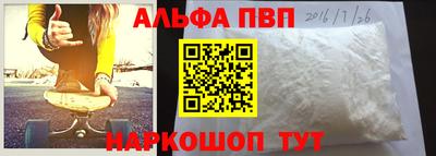 СК Новодвинск